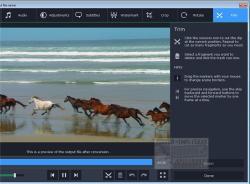 Official Download Mirror for Movavi Video Converter