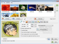 Official Download Mirror for SoftOrbits Batch Picture Resizer