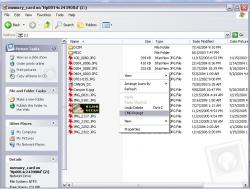 Official Download Mirror for BackgroundCMD