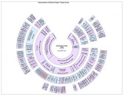 Official Download Mirror for Genealogica Grafica