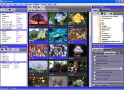 Official Download Mirror for Media Purveyor Lite