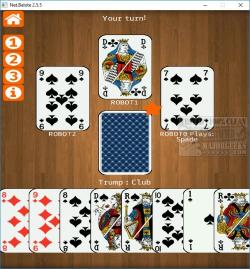 Official Download Mirror for Net.Belote