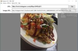 Official Download Mirror for IGcapture