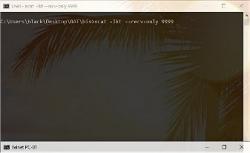 Official Download Mirror for Windows Secure Backdoor