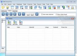 Official Download Mirror for MDB Viewer Plus 