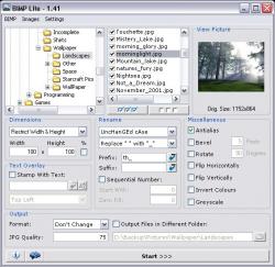 Official Download Mirror for BIMP Lite