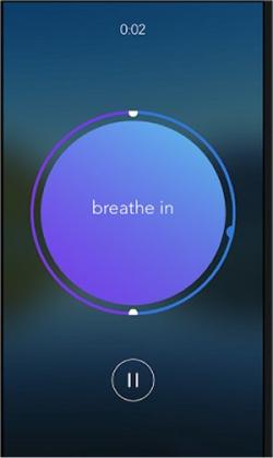 Official Download Mirror for Calm for Android