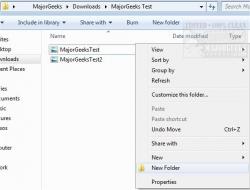 Official Download Mirror for NewFolderEx