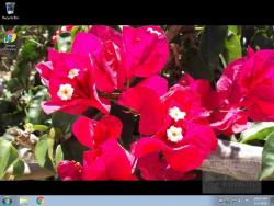 Official Download Mirror for SSuite Office - HD Floral Wallpapers