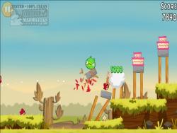 Official Download Mirror for Angry Birds for PC