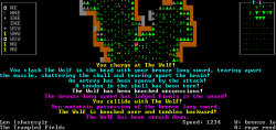 Official Download Mirror for Dwarf Fortress