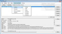 Official Download Mirror for File Info