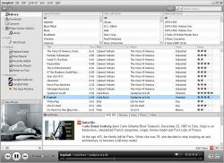 Official Download Mirror for Songbird