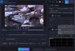 Official Download Mirror for Ashampoo Video Stabilization