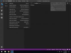Official Download Mirror for Visual Studio Code 