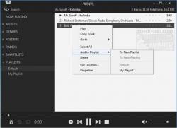 Official Download Mirror for Winyl