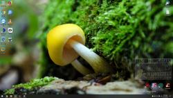 Official Download Mirror for Forest Floor Theme