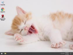 Official Download Mirror for Sleepy Kittens Theme