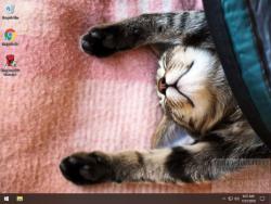 Official Download Mirror for Sleepy Kittens Theme