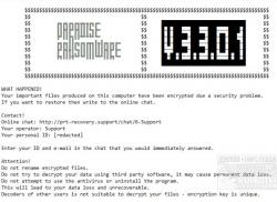 Official Download Mirror for Emsisoft Decryptor for Paradise