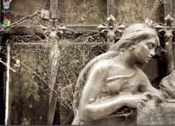 Official Download Mirror for Creepy Cobwebs Theme