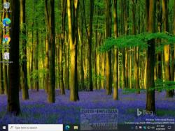Official Download Mirror for Bing Wallpaper
