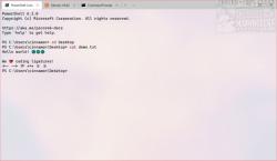 Official Download Mirror for Windows Terminal