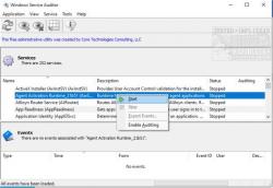 Official Download Mirror for Windows Service Auditor