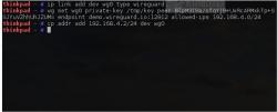 Official Download Mirror for WireGuard