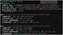 Official Download Mirror for WireGuard