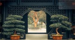 Official Download Mirror for Beauty of China 