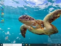 Official Download Mirror for World Oceans Day