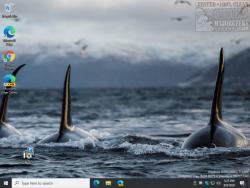 Official Download Mirror for World Oceans Day