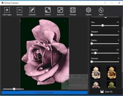Official Download Mirror for Picture Colorizer