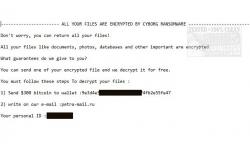 Official Download Mirror for Emsisoft Decryptor for Cyborg