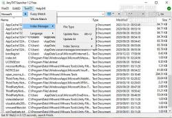 Official Download Mirror for AnyTXT Searcher