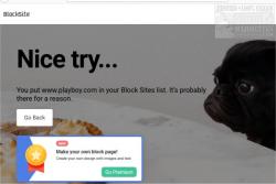 Official Download Mirror for BlockSite for Chrome, Firefox, and Edge