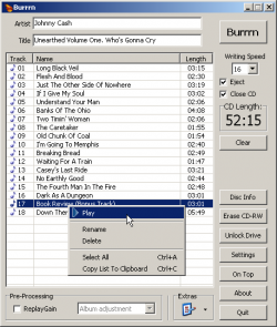Official Download Mirror for Burrrn