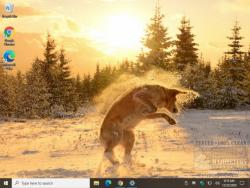 Official Download Mirror for Dogs in Winter Theme
