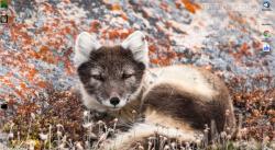 Official Download Mirror for Polar Animals Theme