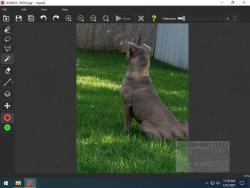 Official Download Mirror for Inpaint