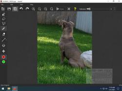 Official Download Mirror for Inpaint