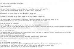 Official Download Mirror for Emsisoft Decryptor for Ziggy
