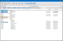 Official Download Mirror for Diffinity