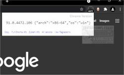 Official Download Mirror for Show Chrome Version for Chrome and Edge 
