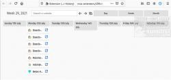 Official Download Mirror for Better History for Firefox