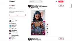 Official Download Mirror for TikTok