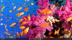 Official Download Mirror for Fish and Corals Theme