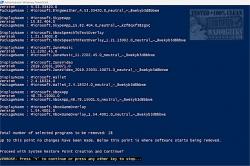 Official Download Mirror for Bloatware Removal Utility (BRU)