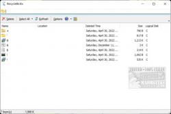 Official Download Mirror for RecycleBinEx